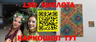 PSILOCYBIN Северобайкальск
