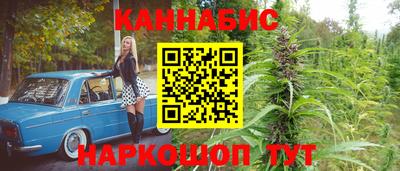 дмт Заводоуковск
