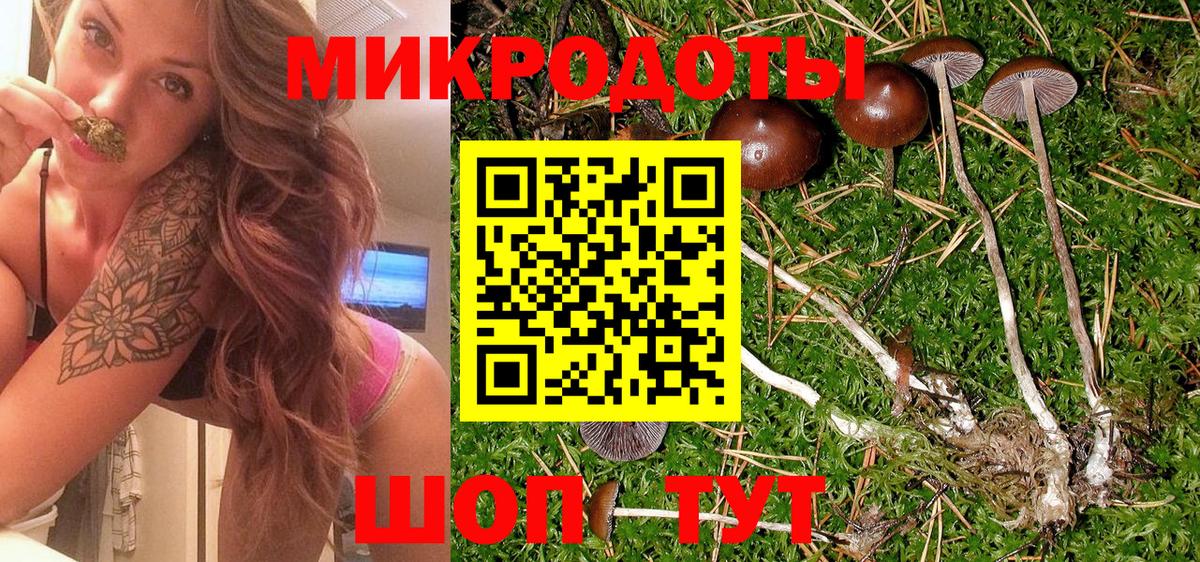 Галлюциногенные грибы Обнинск