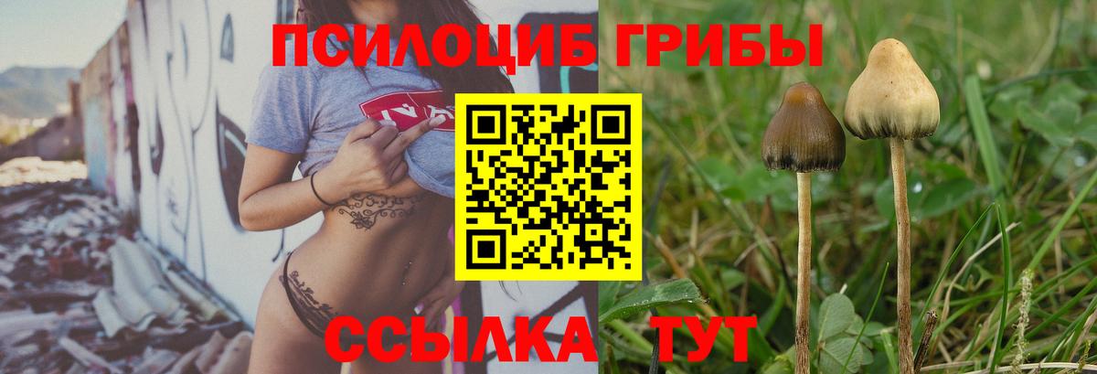 Обнинск  Галлюциногенные грибы ЛСД  Вход с VPN 