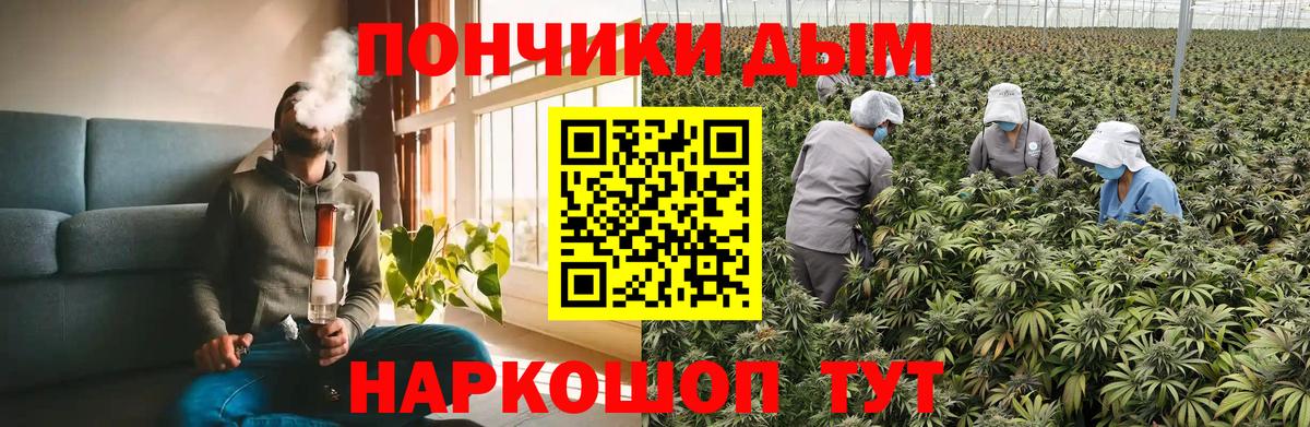 Бошки марихуана тримм Обнинск